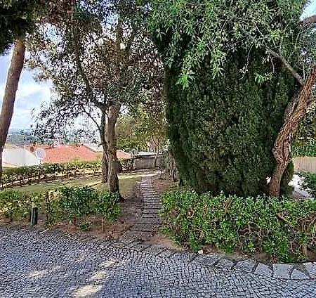 Hotel Jardim By Umbral Albufeira